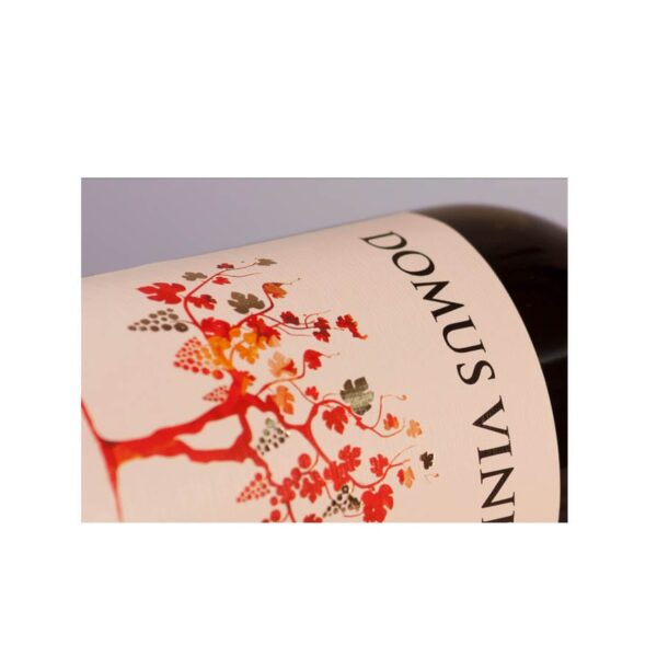 Rosé Vitenova Domus Vini