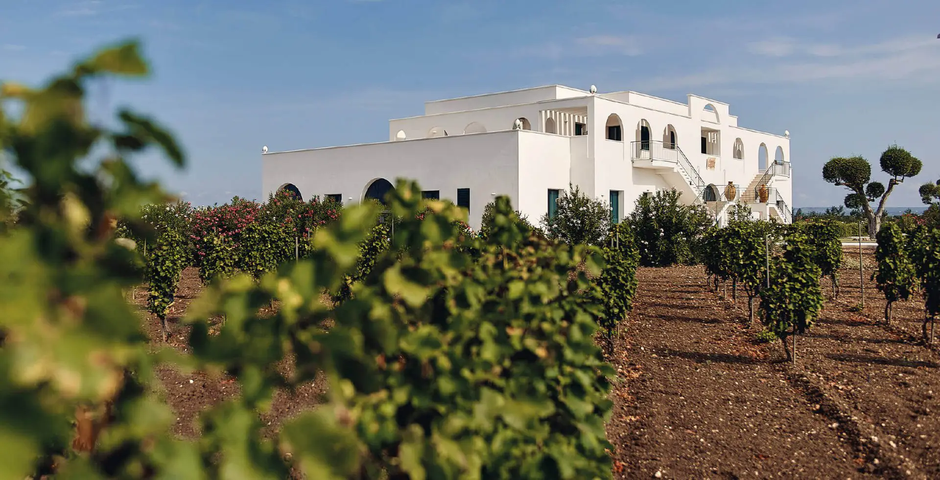 Feudo Croce, een van de domeinen van Cantina Tinazzi in Puglia