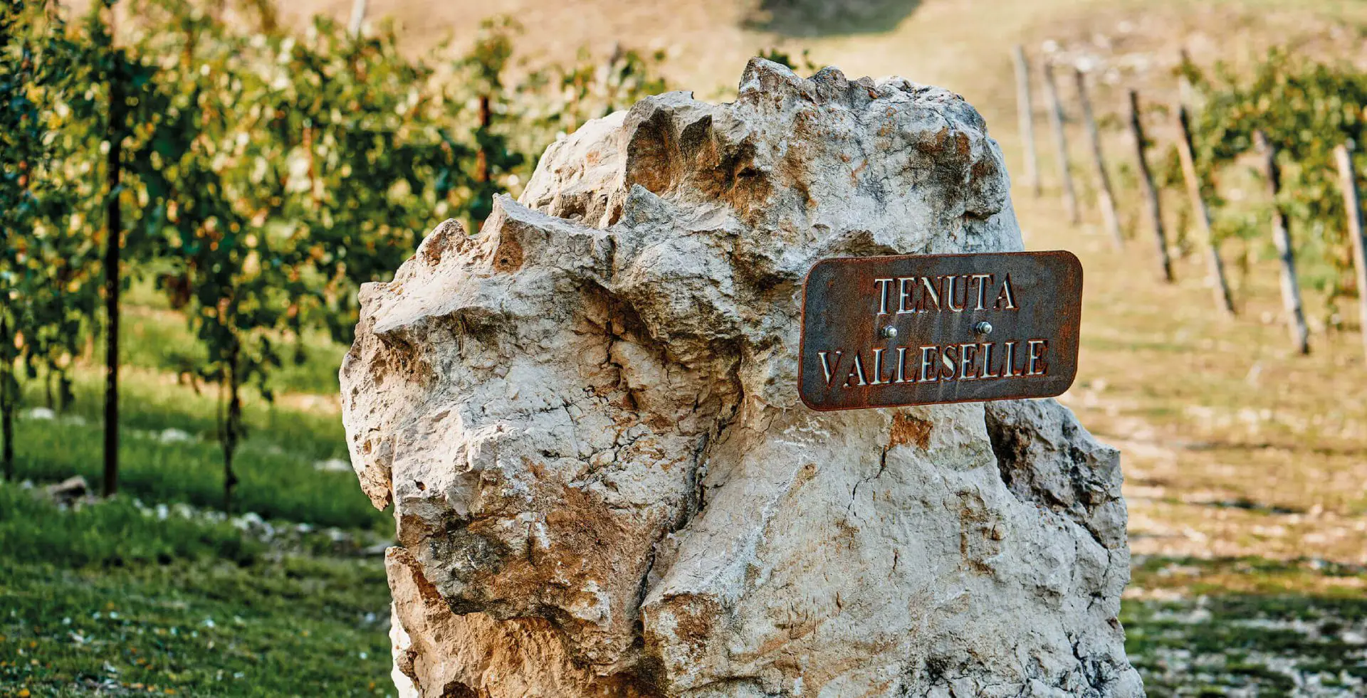 Tenuta Valleselle, een van de domeinen van Cantina Tinazzi