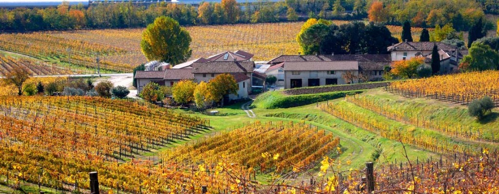 Typisch terrasvormige wijngaarden in Collio – Friuli wijnen