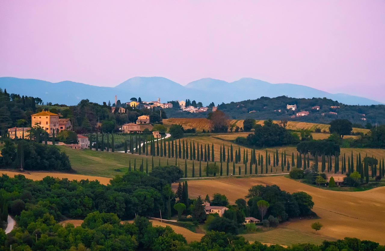 • Zonsondergang over wijngaarden bij Torgiano – Umbria wijnen