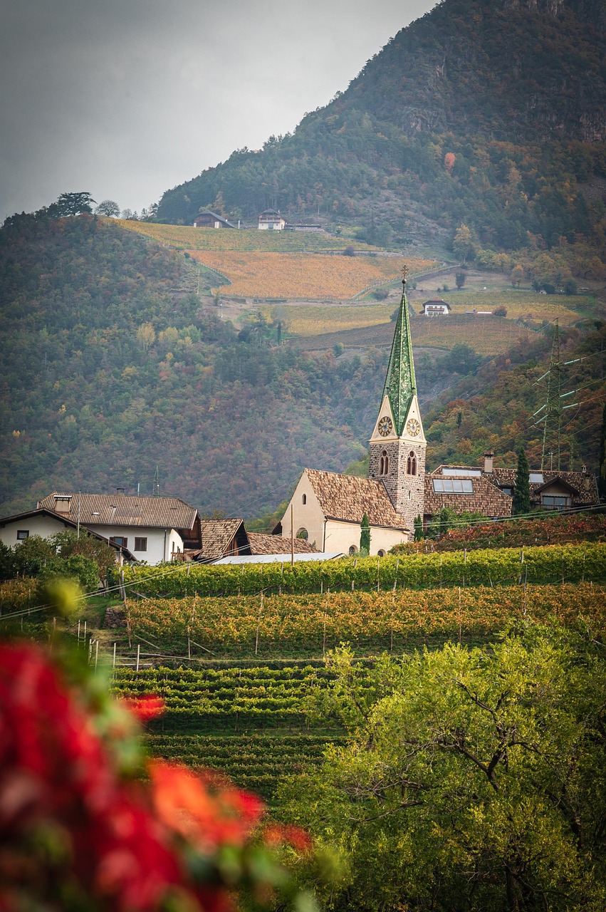 Wijngaard in Sudtirol - Trentino-Alto Adige wijnen
