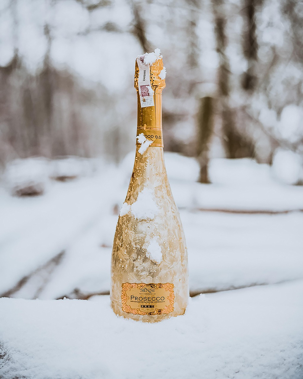 Prosecco sneeuwgekoeld - Veneto Wijnen