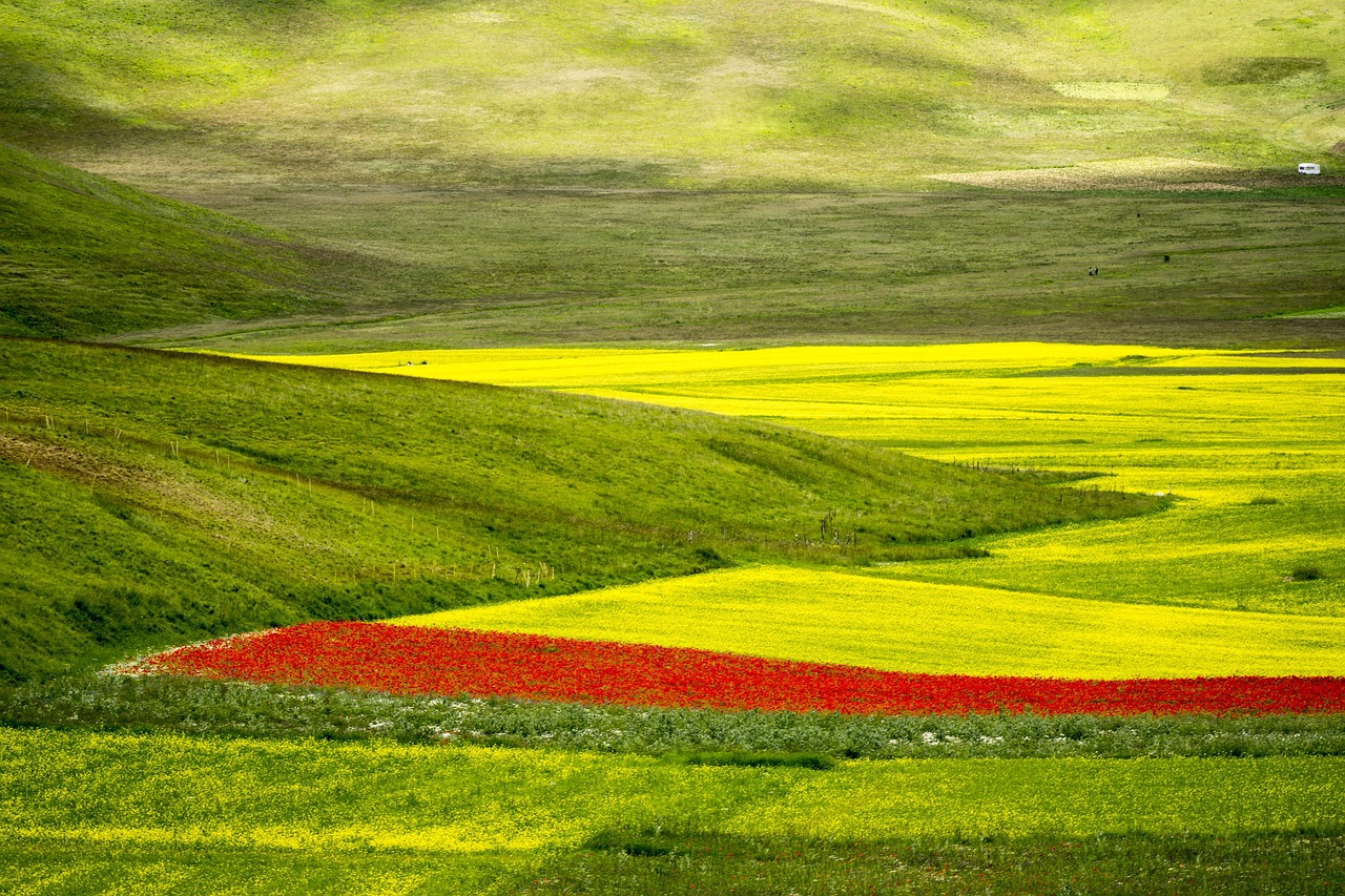 Umbria, groen Oase in het hart van Italië - Umbria wijnen