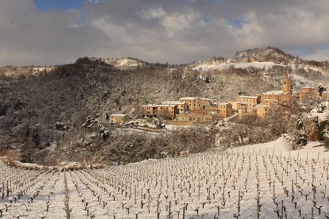 wijngaarden Le Marche