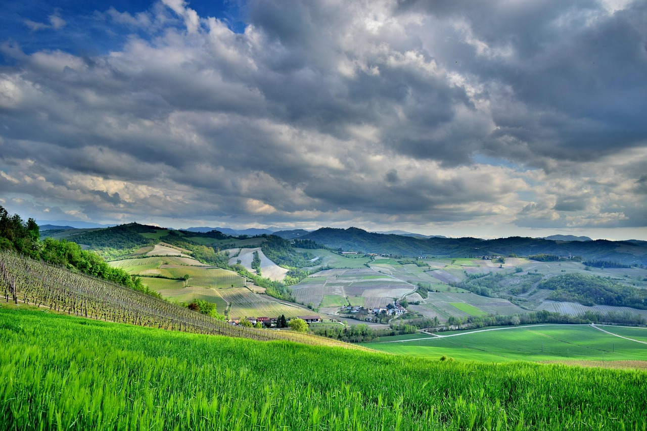 Wijngaarden bij Pavia – Lombardije wijnen