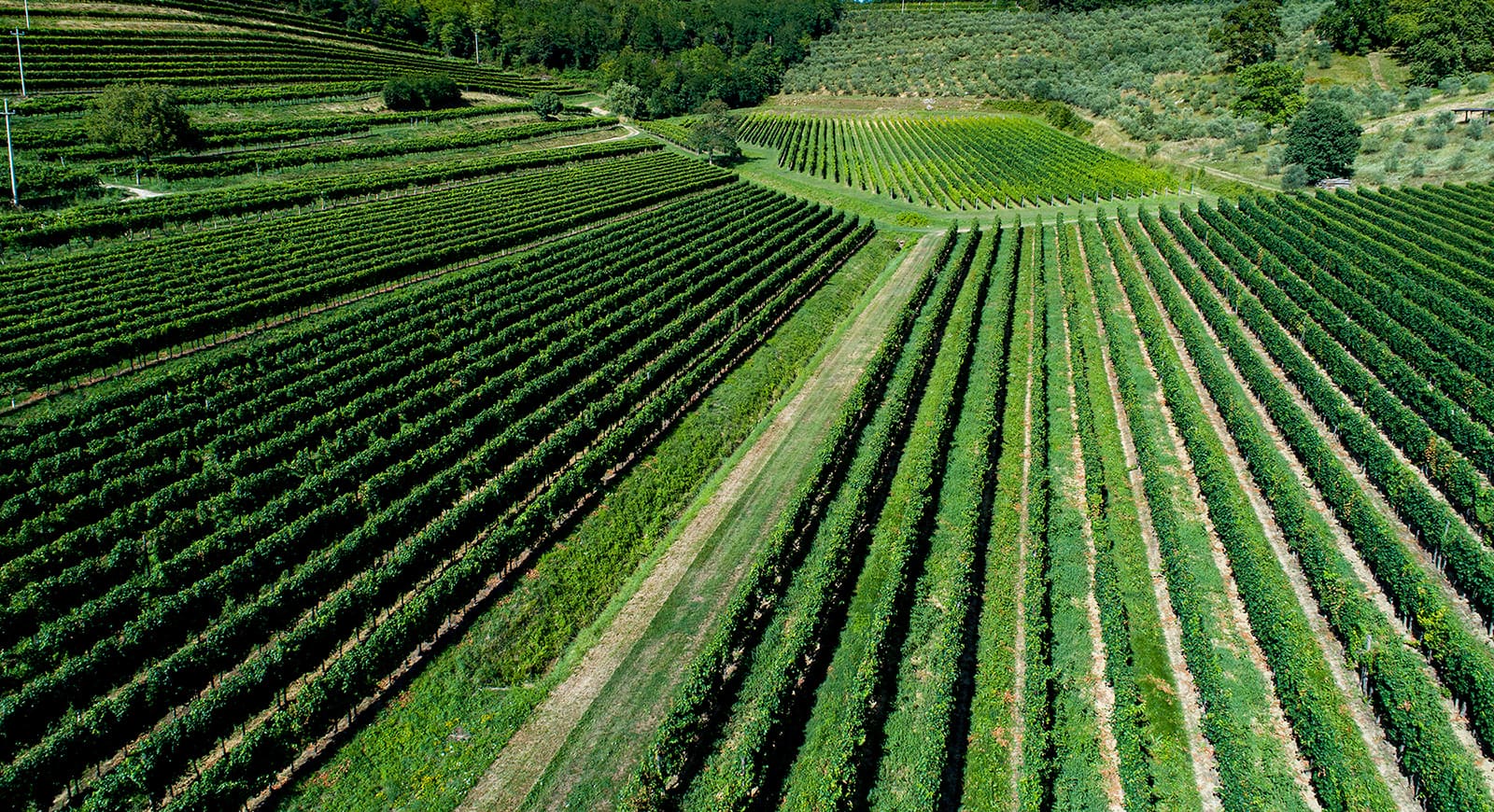 wijngaarden van Alturis