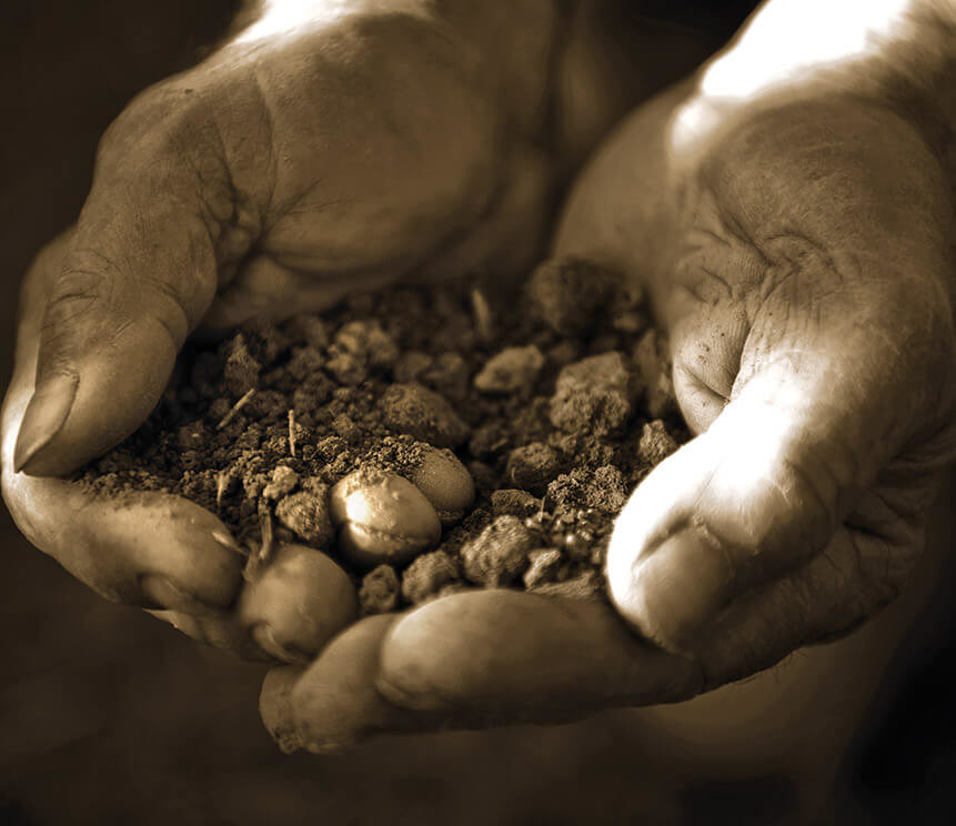 terroir van Bennati in Veneto