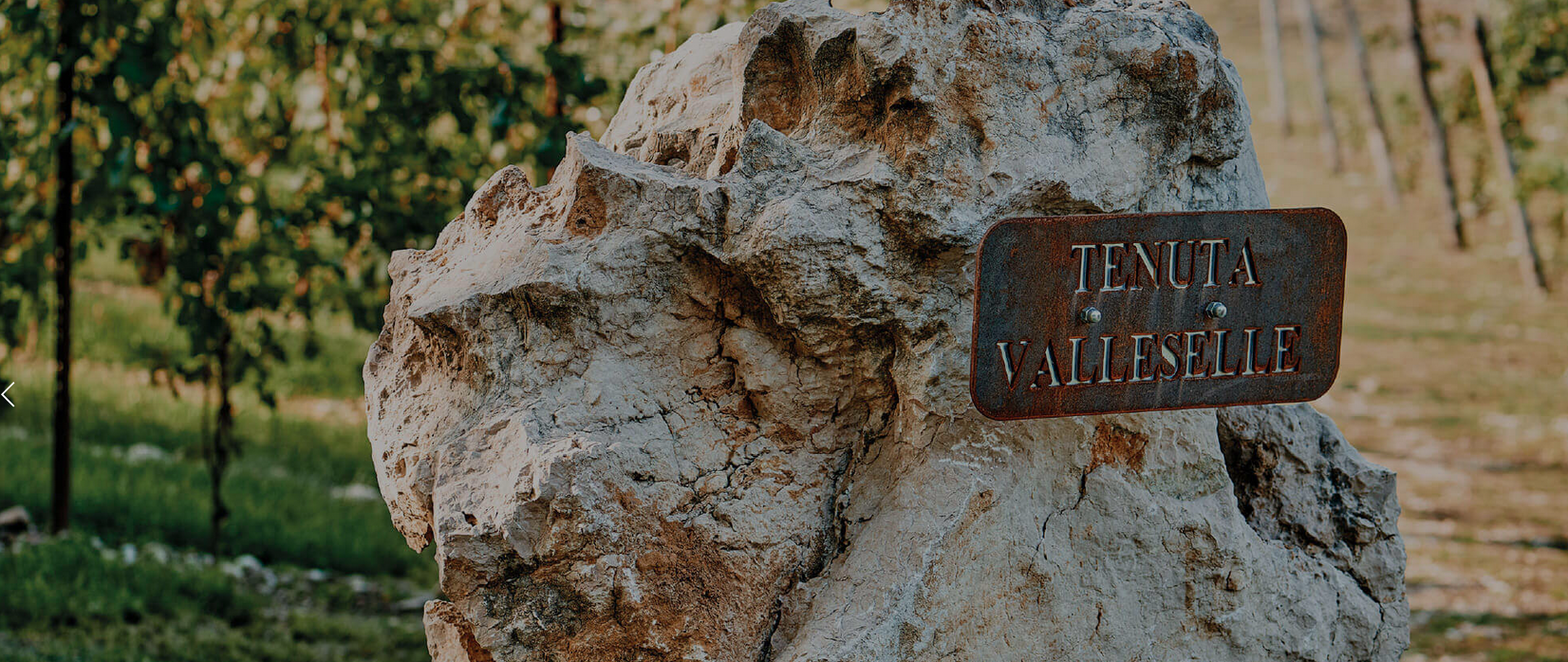 Tenuta Valleselle van familie Tinazzi in Lazise