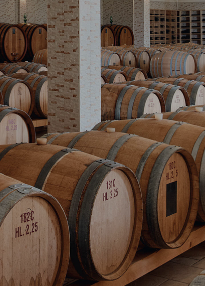 Wijnkelder van Tinazzi met rijpende rode wijnen