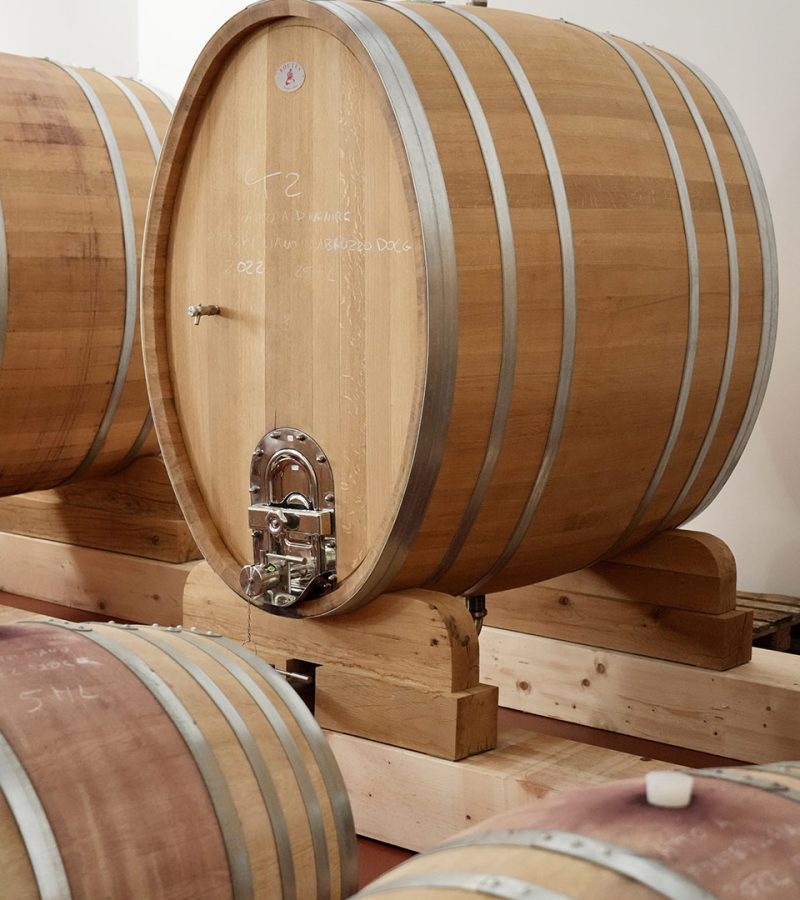 cantina_abruzzo_tenute_antonini-