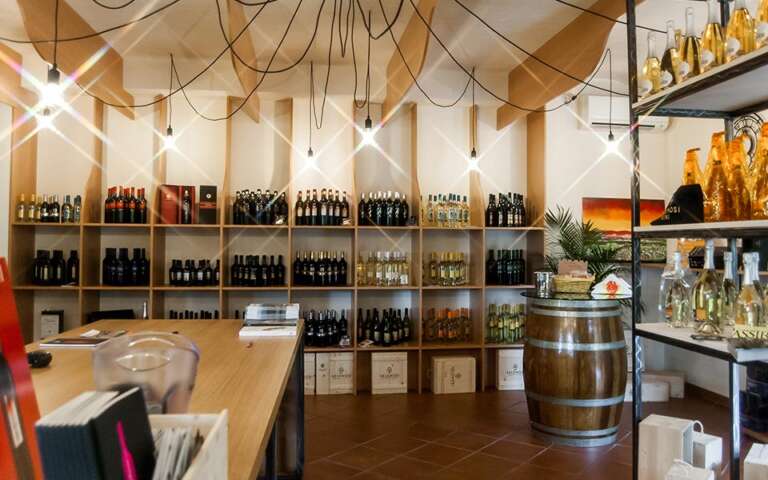 proeflokaal Velenosi in de Marken