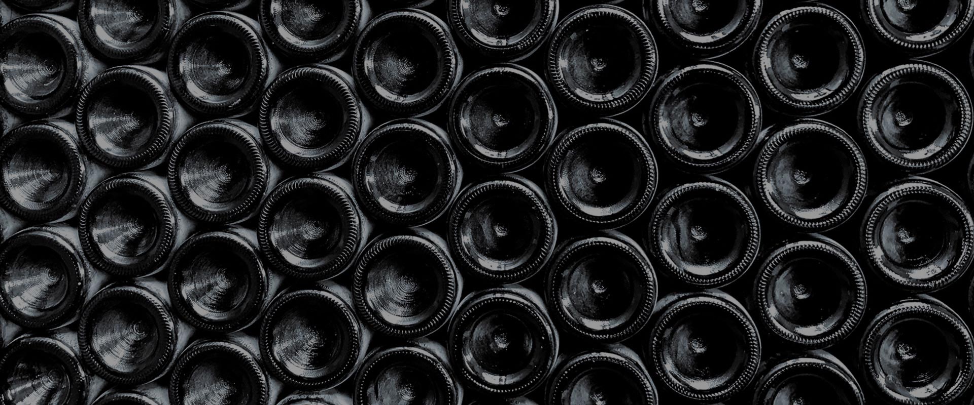 Ciu Ciu: wijnkelder van dit wijnhuis in de Marken