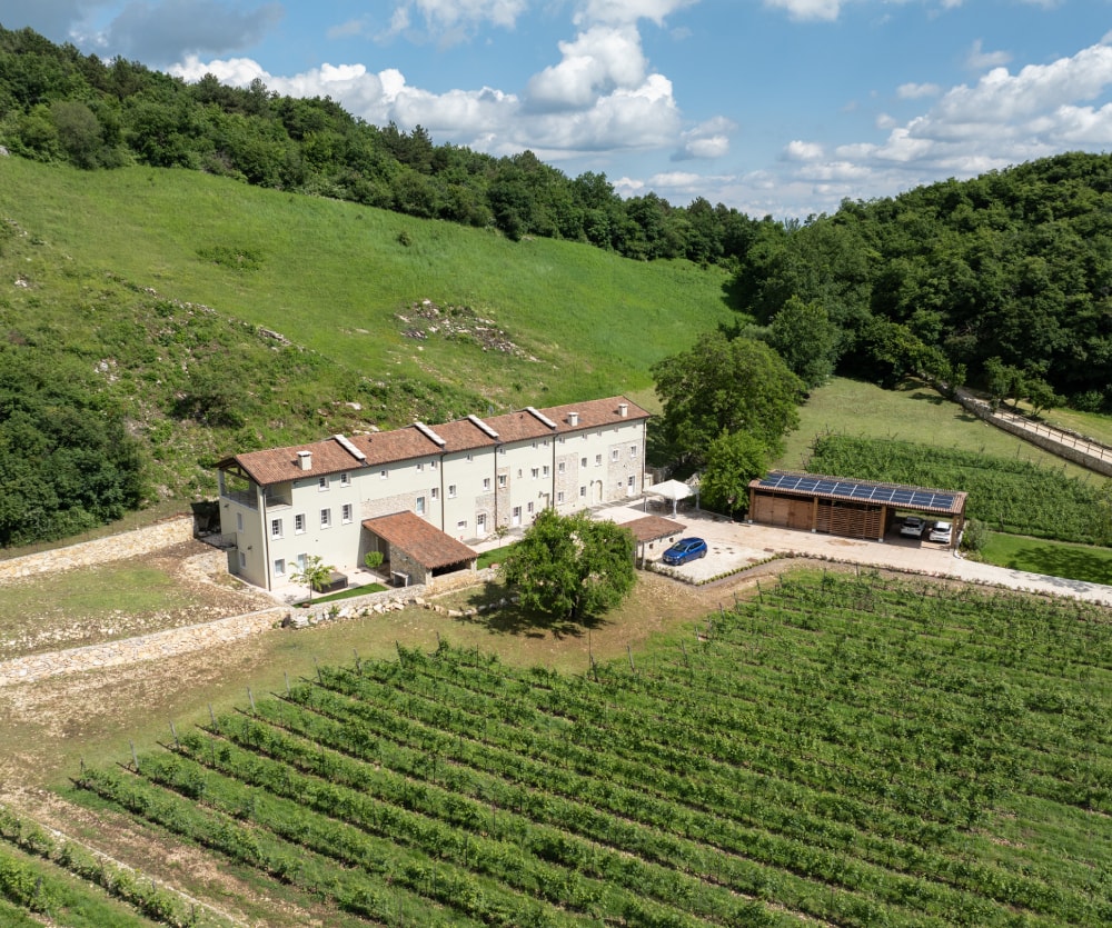 Wijngaarden en vinificatieruimte van Tinazzi San Giorgio in Puglia