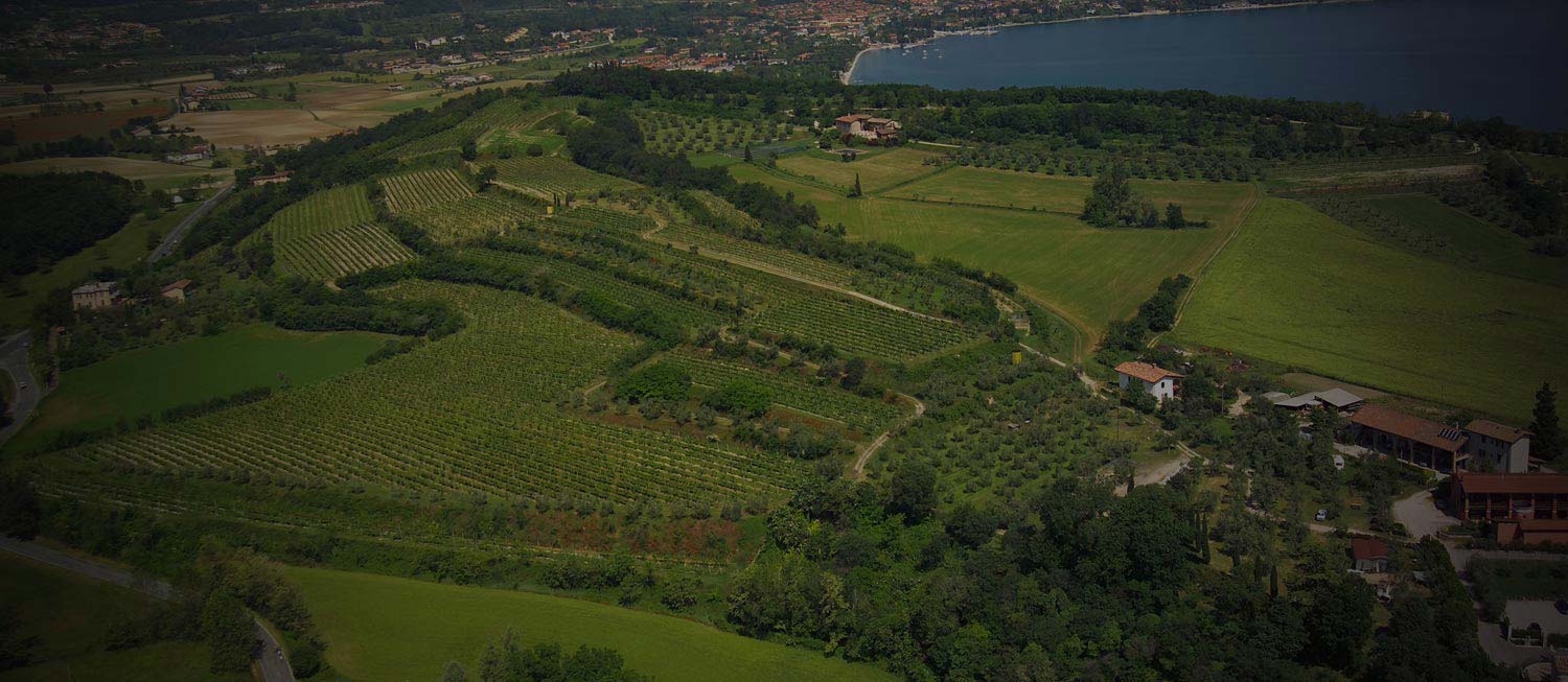 vigna-montecorno-cantina-avanzi