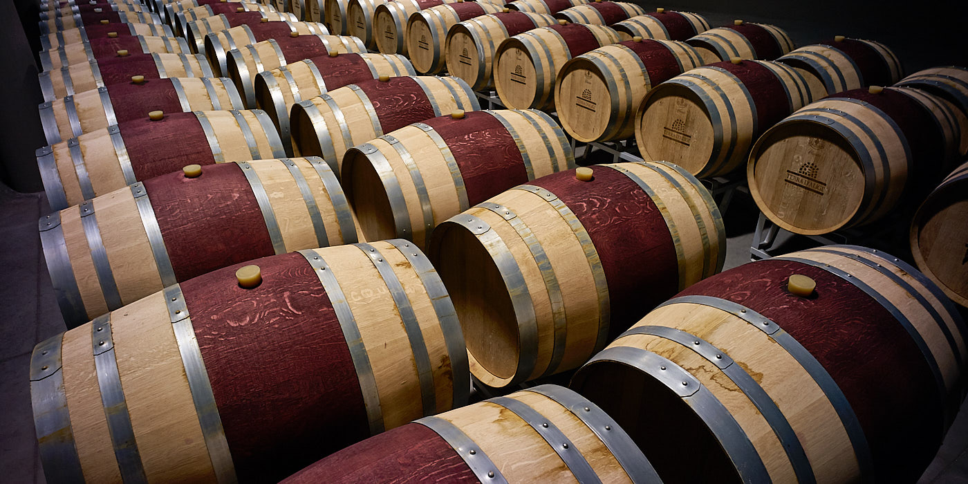 Wijnkelder van Terra d'Aligi topproducent in Chieti, Abruzzo