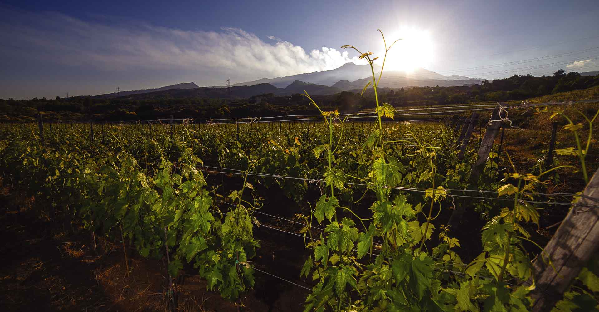Landschap rond Castiglione di Sicilia met Etna op achtergrond