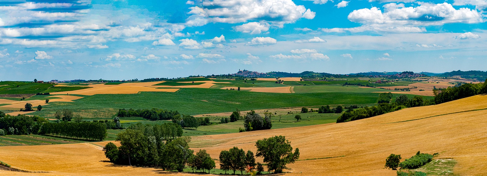 Wijngaarden van Ferraris Agricola in Castagnole Monferrato bij zonsondergang