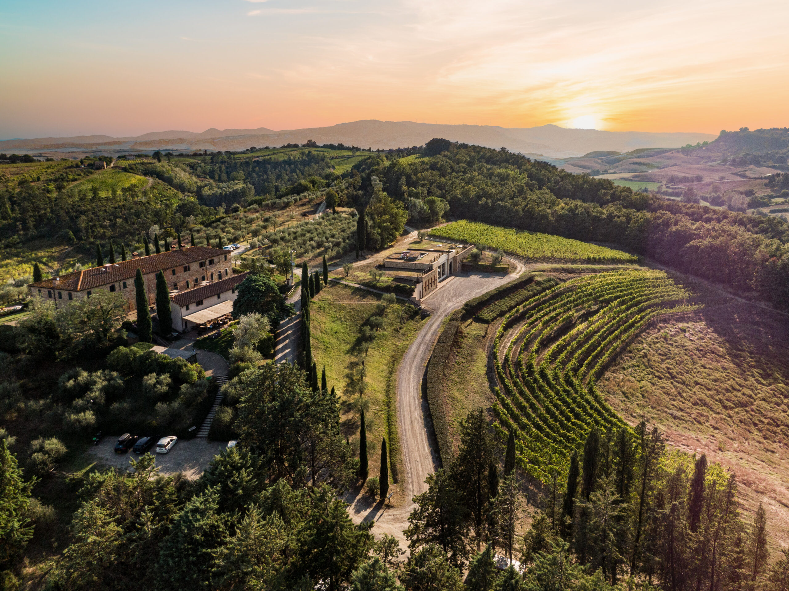 Uitzicht op wijngaarden van Fattoria Fibbiano in Toscane