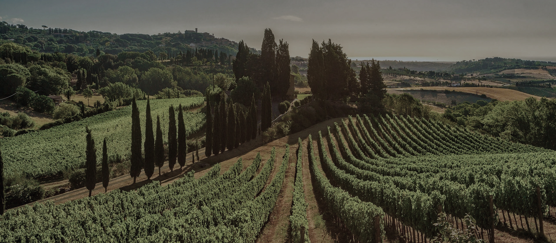 Wijngaarden van Fontamara tussen bergen en zee in Abruzzo