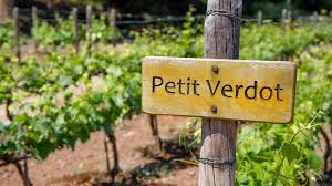 Aanduiding Petit Verdot in de wijngaard