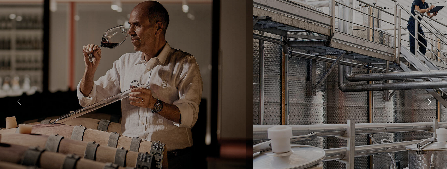 wijnmaker bij Tinazzi Ca de Rocchi aan het werk