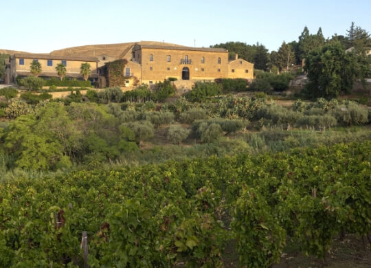 Afstandsfoto van Tenuta Regaleali in het hart van Sicilië