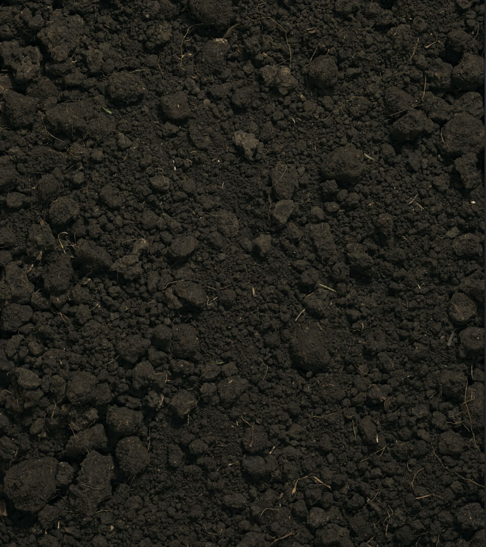 Terroir van Tenuta Regaliali: veel vulkanisch gesteente