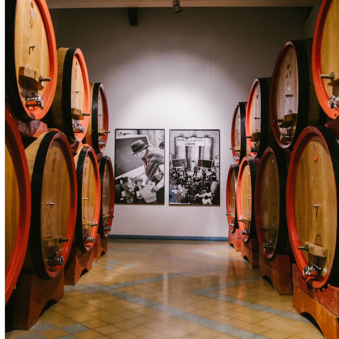 wijnkelder van Zaccagnini uit de Abruzzen