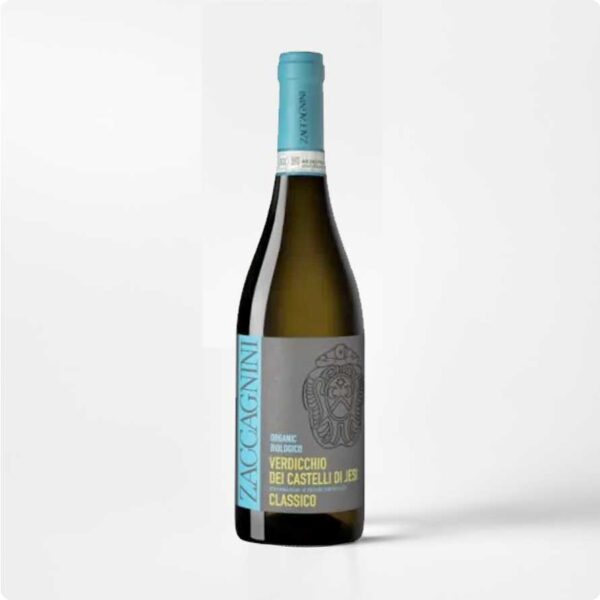 Zaccagnino Verdiccchio Fles Zaccagnini Verdicchio Biologico op witte achtergrond