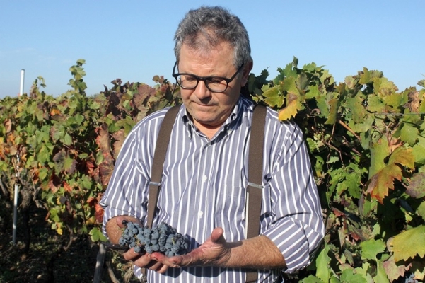Gedreven innovatieve wijnmaker Gaetano Ferri met lokale druiven