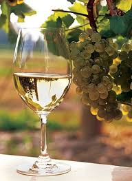 Glas Chardonnay met op tafel in wijngaard