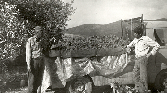 Cantina di dolianova al sinds 1949