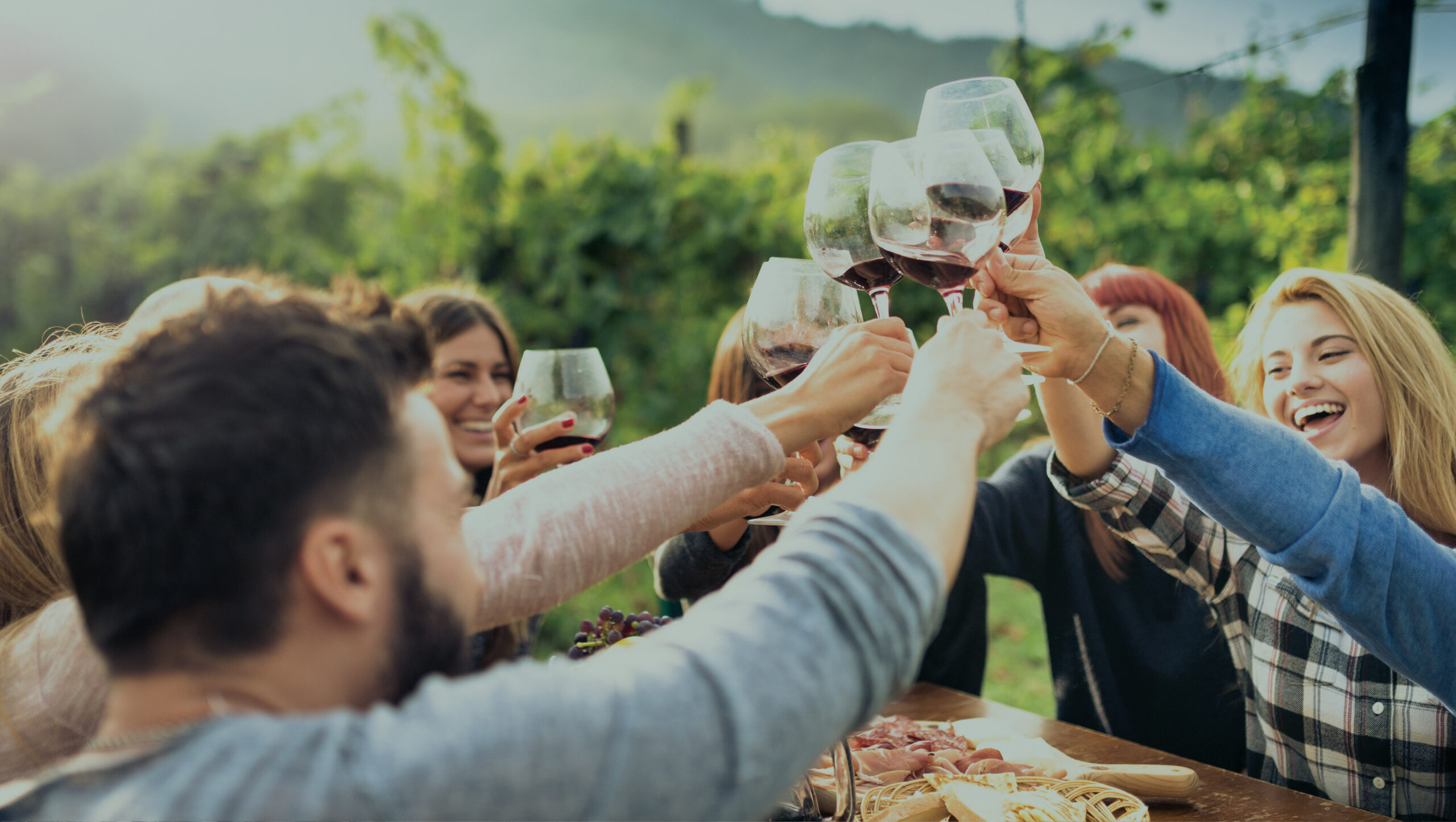 Wijngaard van Tenuta Antica Cavalleria op de noordflank van de Etna